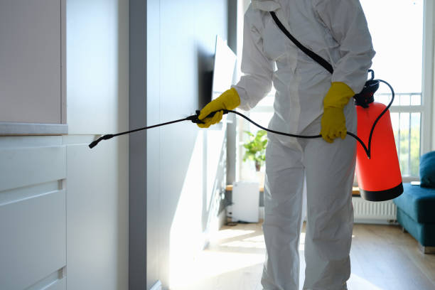 Professional Mold Removal in Granville South, OH